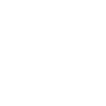 Cybersecurity icon